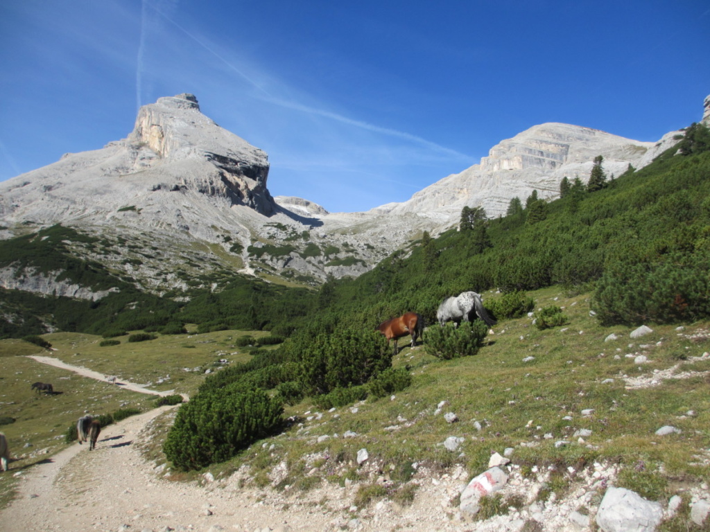 alta via delle Dolomiti 1