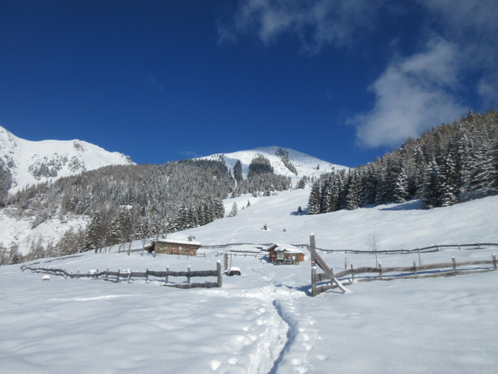 scialpinismo principianti Trentino Lagorai Valsugana