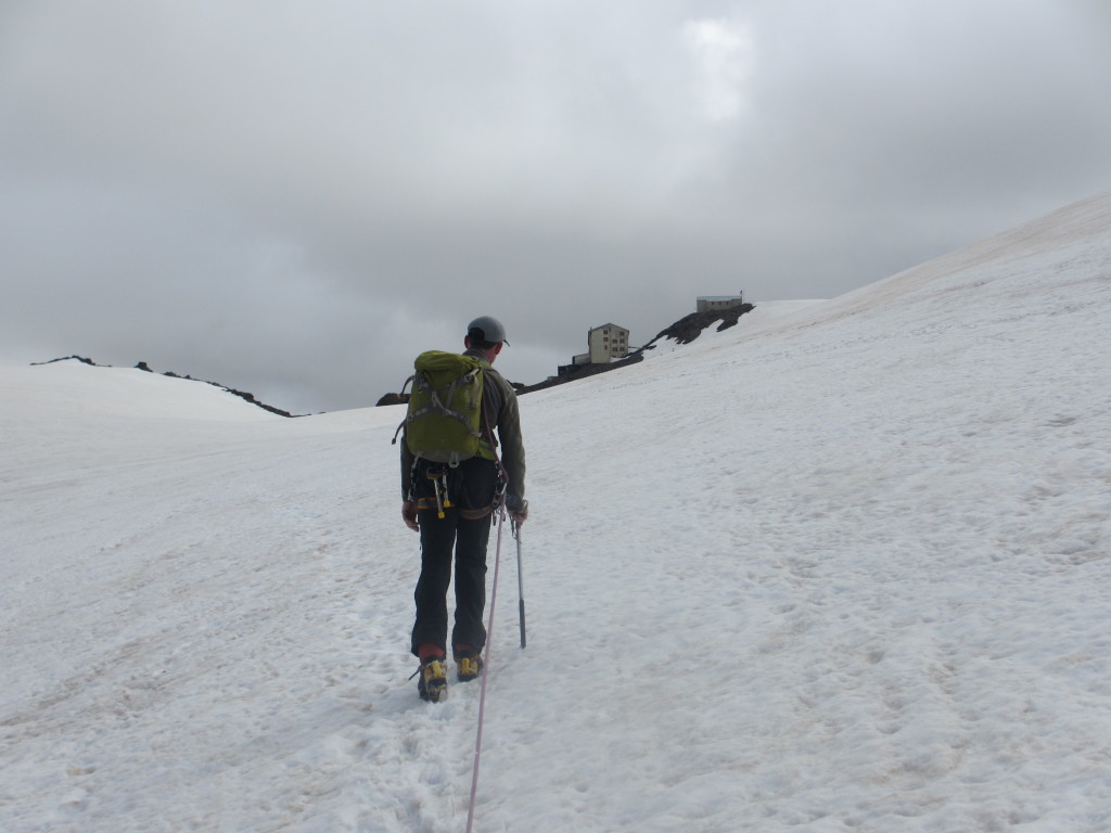 GLACIER TOUR TO THE CEVEDALE SUMMIT 3770 m