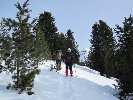 schneeschuhwandern-dolomiten-winter