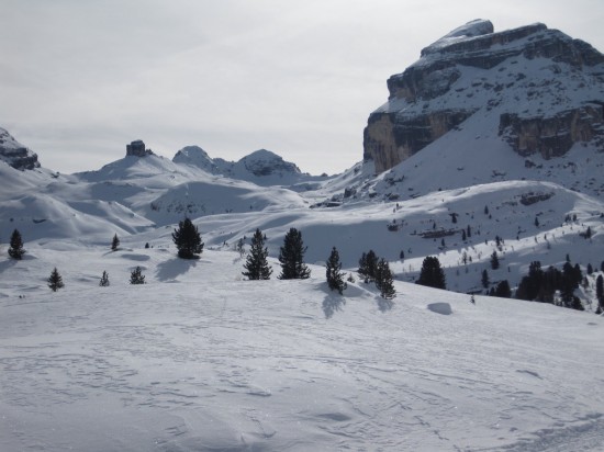 SCHNEESCHUHWANDERN im PUSTERTAL