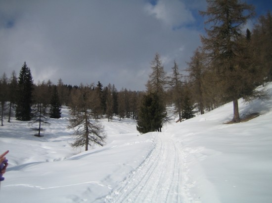 Schneeschuhwandern-Sarntehin-Suedtirol-Wandern