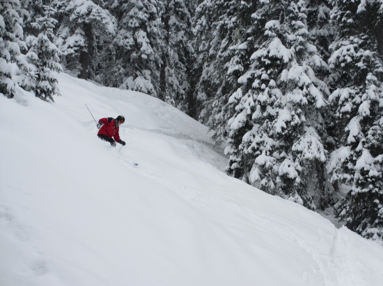 discesa Freeride Dolomiti