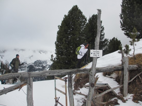 schneeschuhwandern-winterwandern-Dolomiten-Fassa