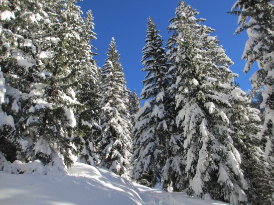 winterwandern-Monzonital-schneeschuhe-Dolomiten