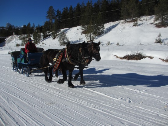 Skitour-Kriegerrunde-grande-guerra-Pferdeschlitten