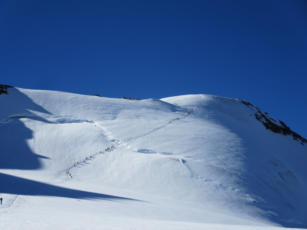 GLACIER TOUR TO THE CEVEDALE SUMMIT 3770 m