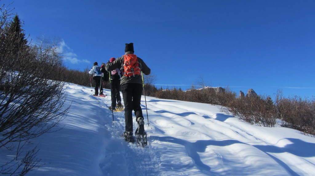 Einführung Schneeschuh wandern