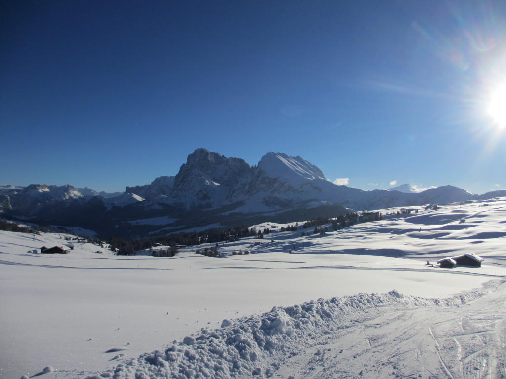 Scisafari-Seiser-Alm