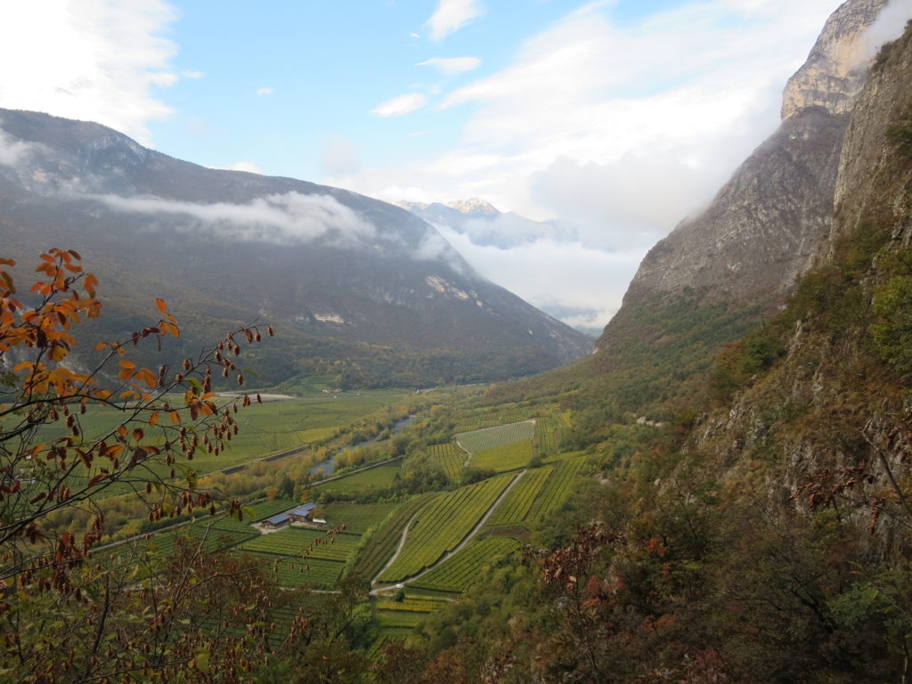 Burrone di Mezzocorona